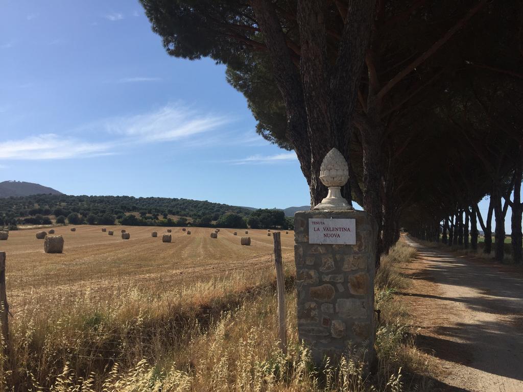 Agriturismo La Valentina Nuova 탈라모네 외부 사진