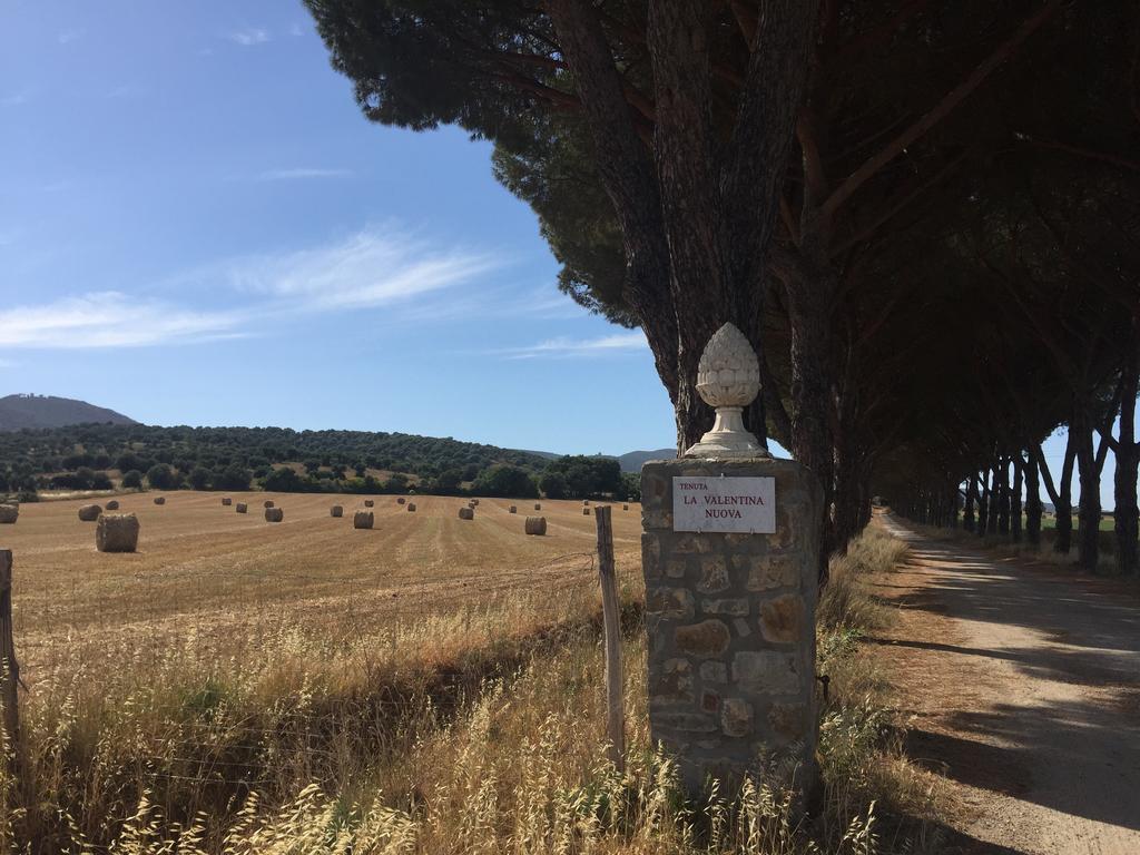 탈라모네 Agriturismo La Valentina Nuova 빌라 외부 사진