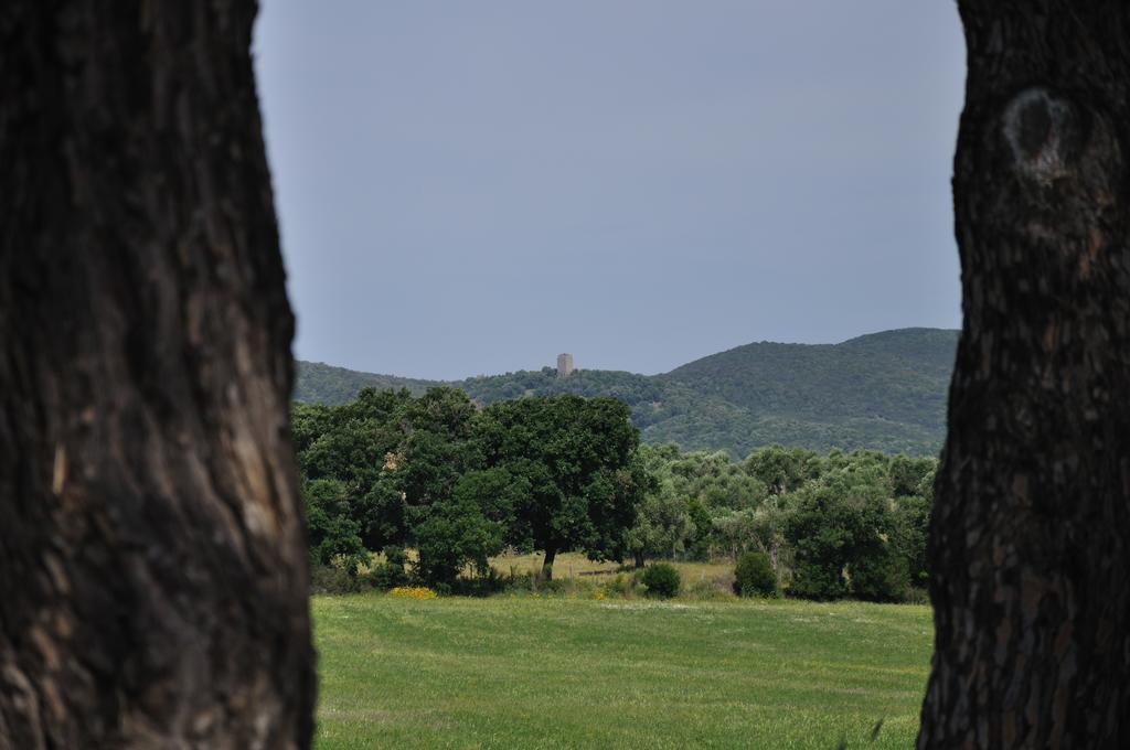 탈라모네 Agriturismo La Valentina Nuova 빌라 외부 사진