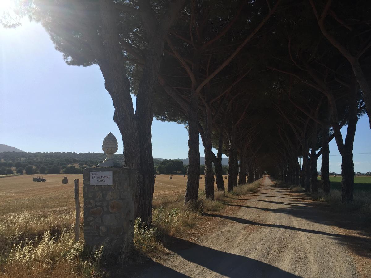 탈라모네 Agriturismo La Valentina Nuova 빌라 외부 사진