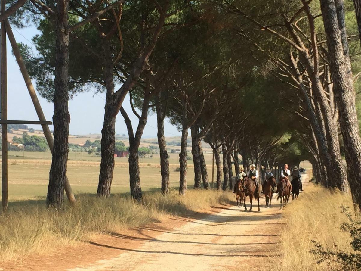 탈라모네 Agriturismo La Valentina Nuova 빌라 외부 사진